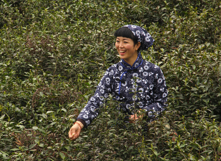 更新封面